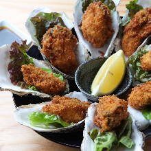 Deep fried oysters set meal