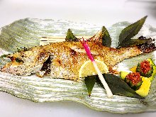 Salt roasted rosy seabass