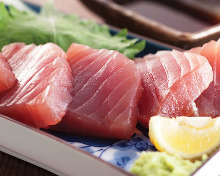 Maguro(tuna)