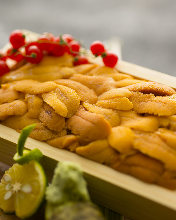 Uni(sea urchin)