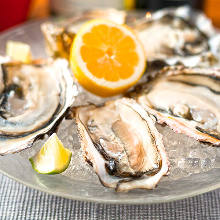 Assorted oysters