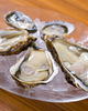 Assorted Fresh Oysters - Chef's Choice - 5 types