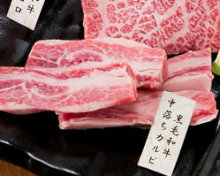 Wagyu beef rib finger meat