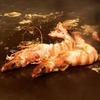 Fresh Prawns Fresh Prawns