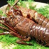 Fresh Spiny Lobster