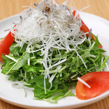 Daikon radish and mizuna salad