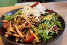 Mushroom salad