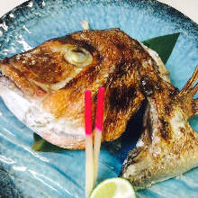 Madai(red seabream)