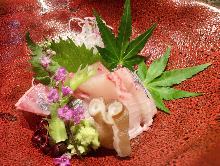 Sashimi