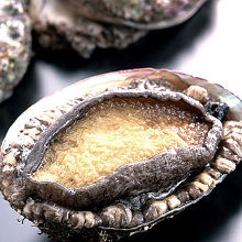 Abalone Teppanyaki