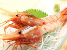 Botan shrimp sashimi