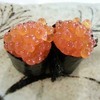 Ikura(salmon roe)