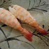 Shrimp