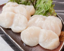 Scallops