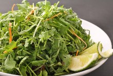 Coriander salad