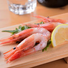 Sashimi