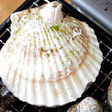 Seafood grill