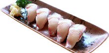 Hamachi(yellowtail)