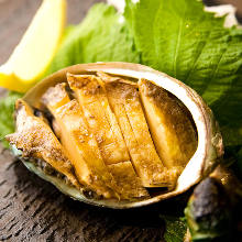 Abalone steak / grilled abalone Abalone steak / grilled abalone