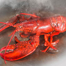 Live lobster teppanyaki