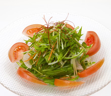 Vegetable salad