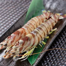 Salted and grilled Japanese tiger prawn