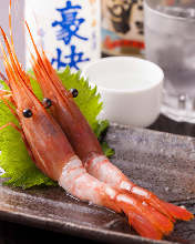 Ama ebi (pink shrimp) sashimi