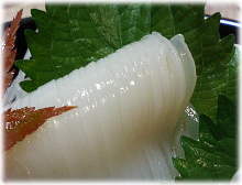 Squid sashimi Squid sashimi