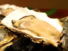 Oysters