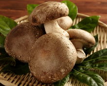 Shiitake Mushrooms