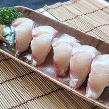 Hamachi(yellowtail)