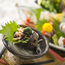 Horned turban sashimi