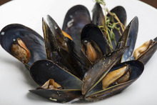 Mussels steamed in wine