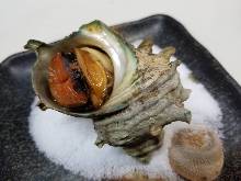 Grilled turban shell