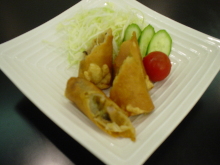 Spring roll