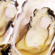 Oysters