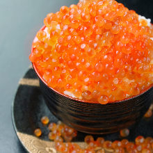 Salmon roe rice bowl