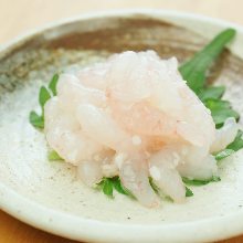 Ama ebi (pink shrimp) sashimi