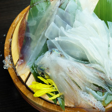 Squid sashimi