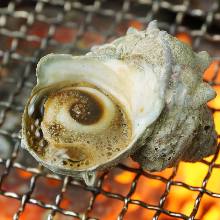 Grilled turban shell