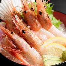 Ama ebi (pink shrimp) sashimi