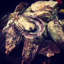 Oyster teppanyaki