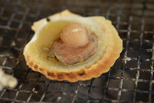 Grilled scallop