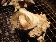 Grilled turban shell