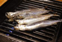 Shishamo smelt with roe