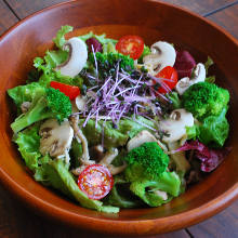 Vegetable salad