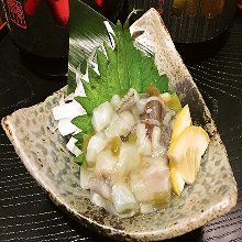 Wasabi octopus