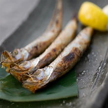 Seared shishamo smelt