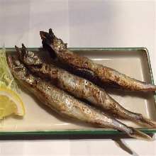 Grilled shishamo smelt