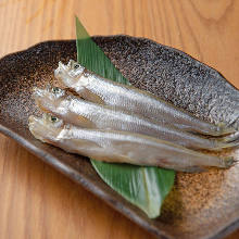 Seared shishamo smelt